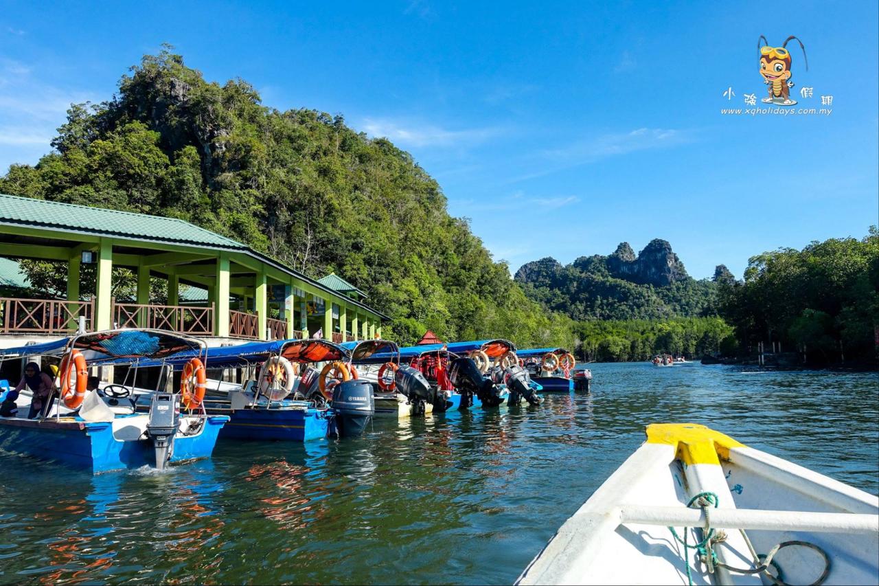 Jelajahi Mangrove Langkawi: Ekspedisi Menakjubkan ke Hutan Pesisir